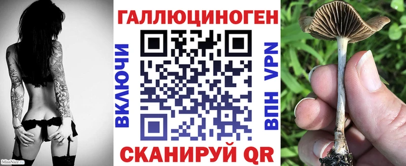 Купить где  Вихоревка  Галлюциногенные грибы MAGIC MUSHROOMS 