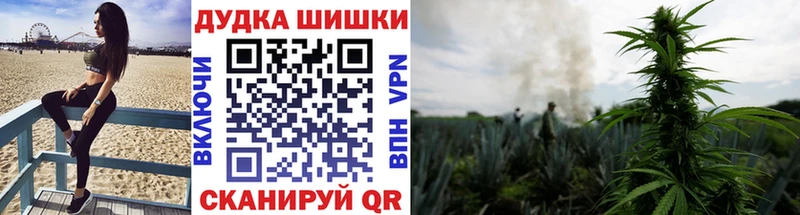 Купить где  Вихоревка  Бошки Шишки White Widow 